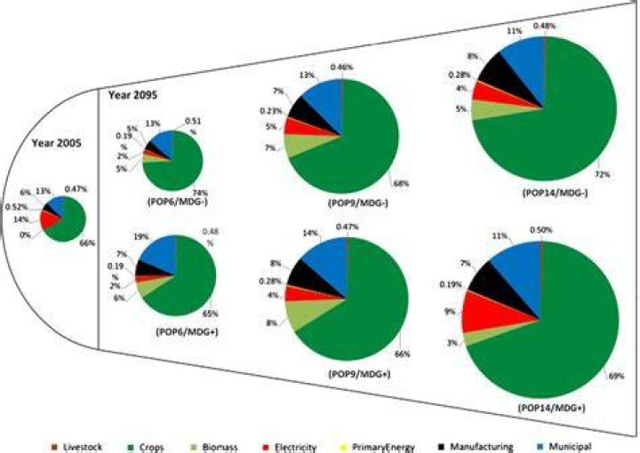 What is a withdrawal distribution?