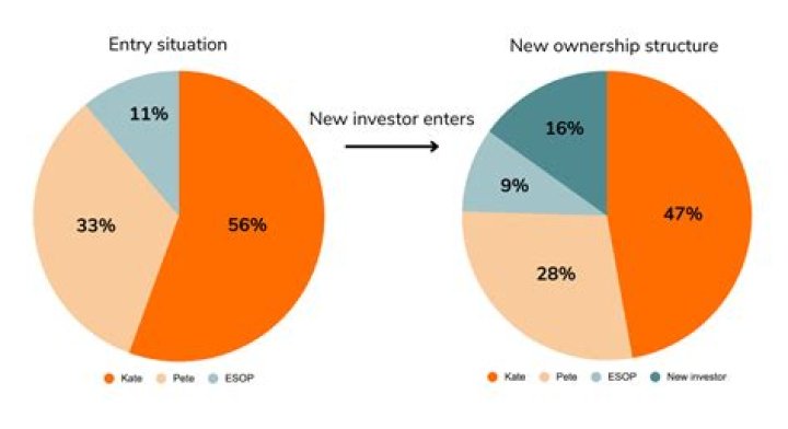 What is an ESOP allocation?