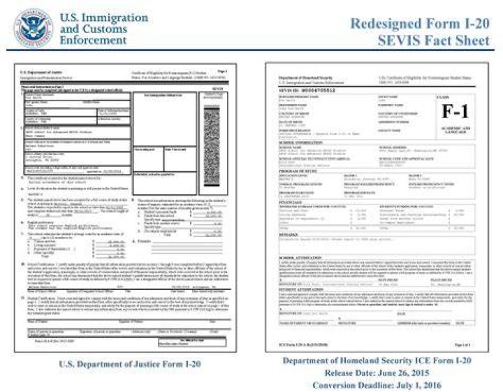 What is an F-1 international student?