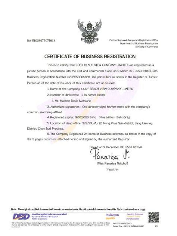 What is business registration document in USA?