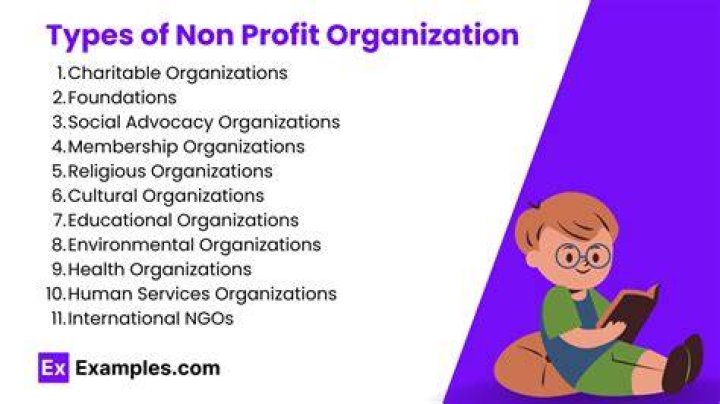 What is contribution in non profit organization?