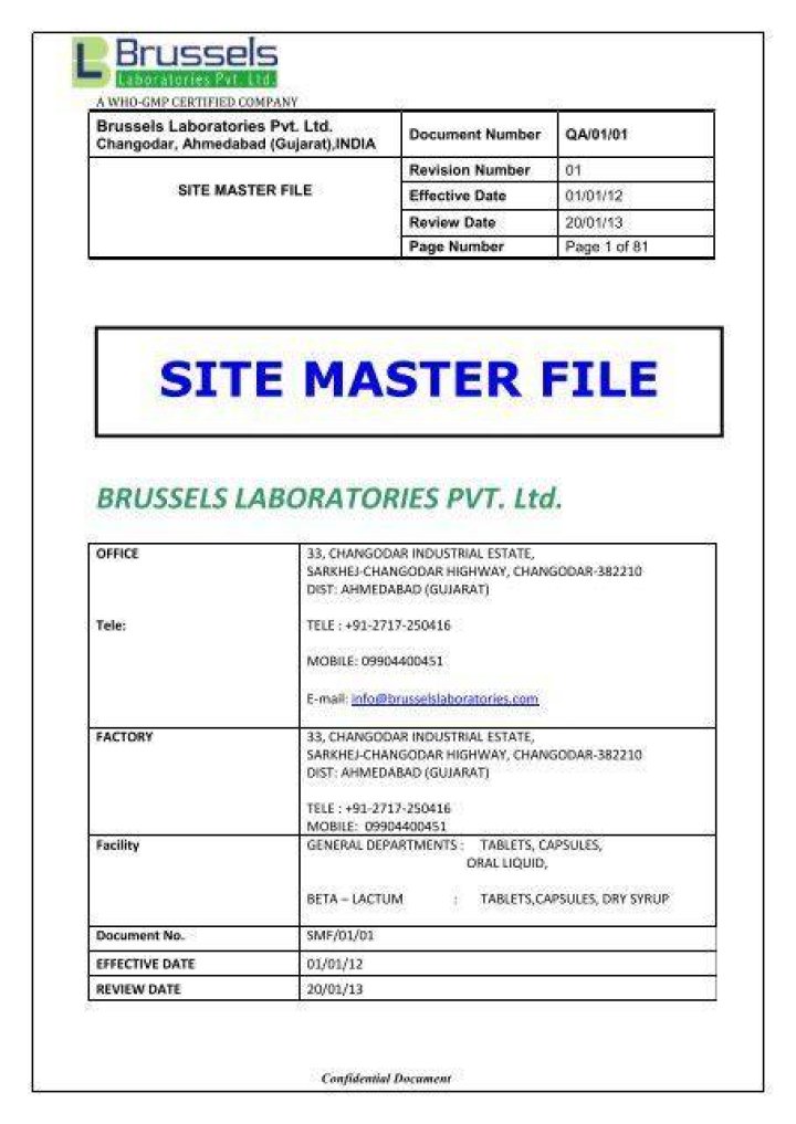 What is in a Site Master File?