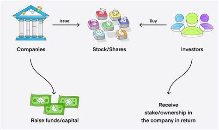 What is money invested in a company by the shareholders?