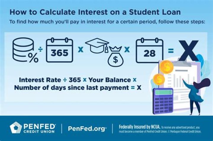 What is student loan interest paid?