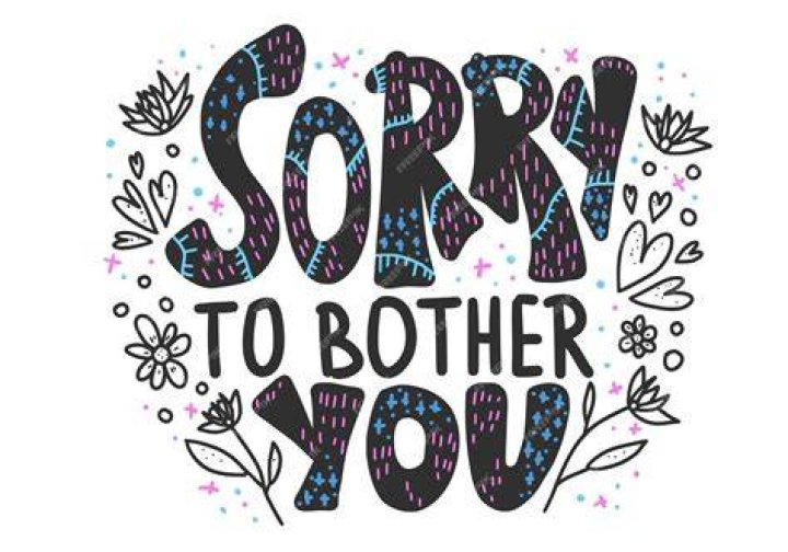 What is the message in sorry to bother you?
