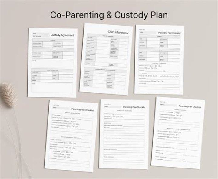 What should be included in a co parenting plan?