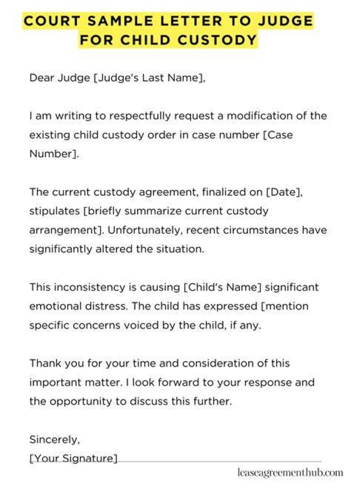 What should you not say in child custody court?