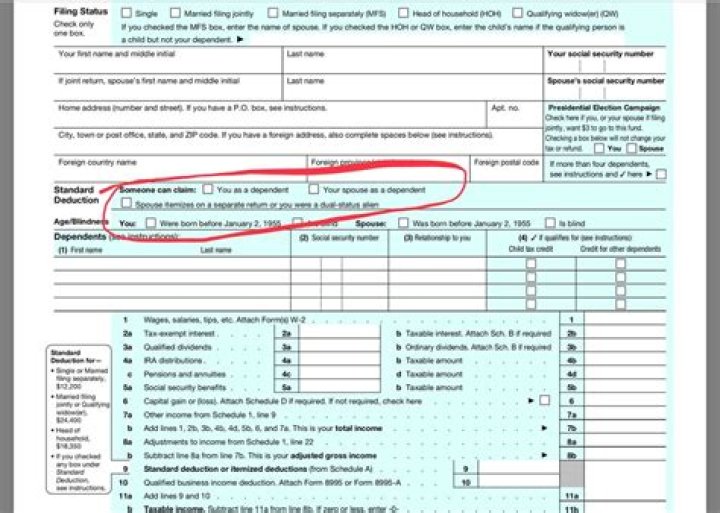 What to do if someone filed me as a dependent?