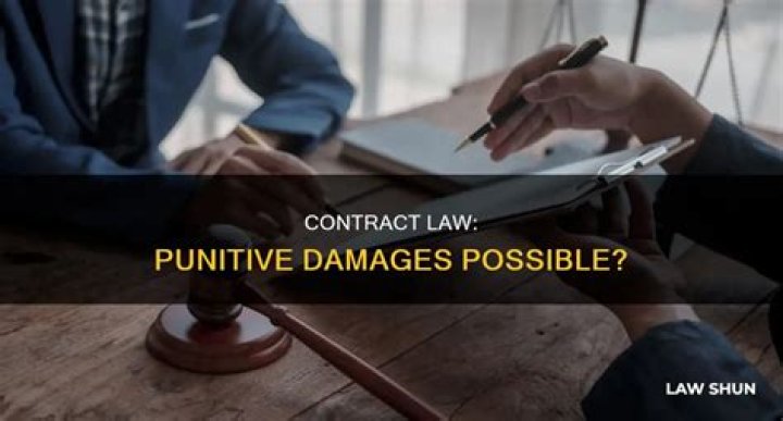 When should punitive damages be awarded?