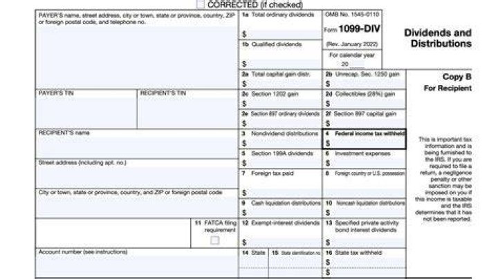 Where do I report 1099-DIV Box 5?