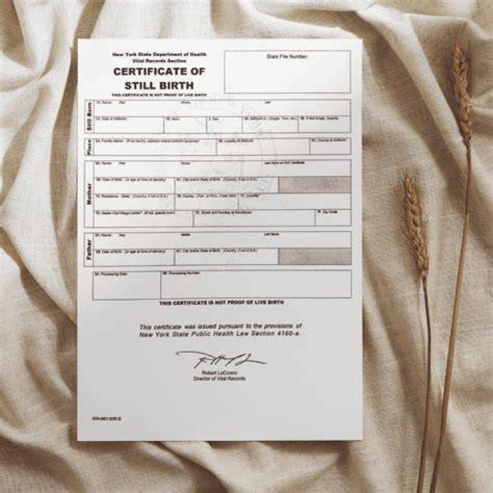 Which document is issued when a baby is born?