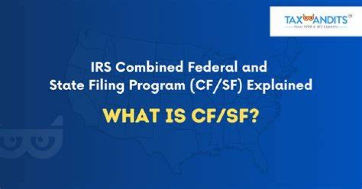 Which state does not participate in a combined federal state filing program?