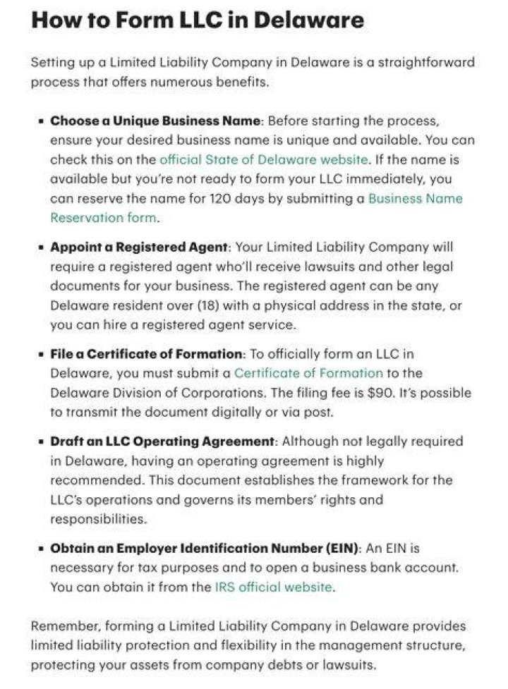 Who are the members of a Delaware LLC?