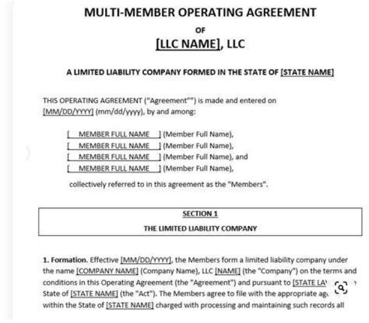 Who are the owners of a multi member LLC?
