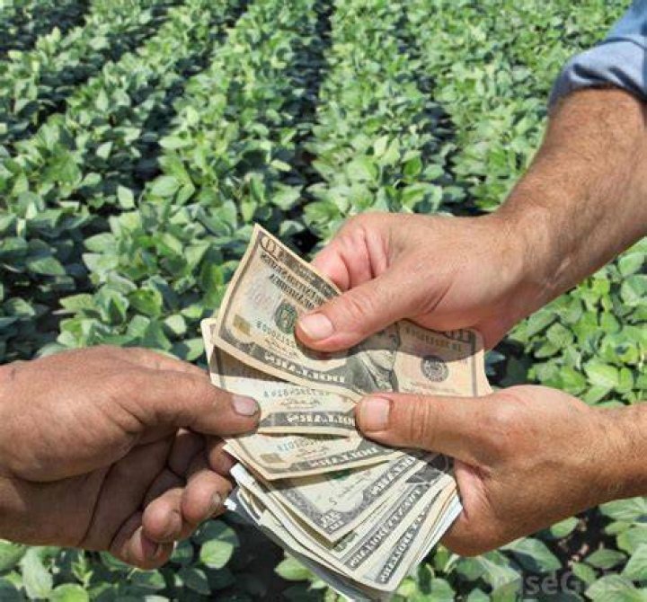 Why do farmers not make much money?
