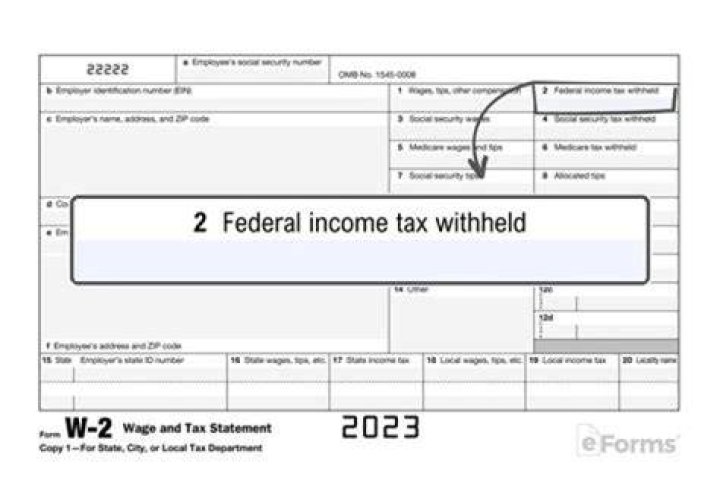 Why does my W-2 have no federal tax withheld?