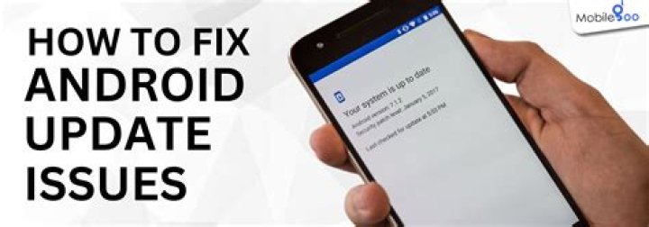Why my phone is not getting system update?